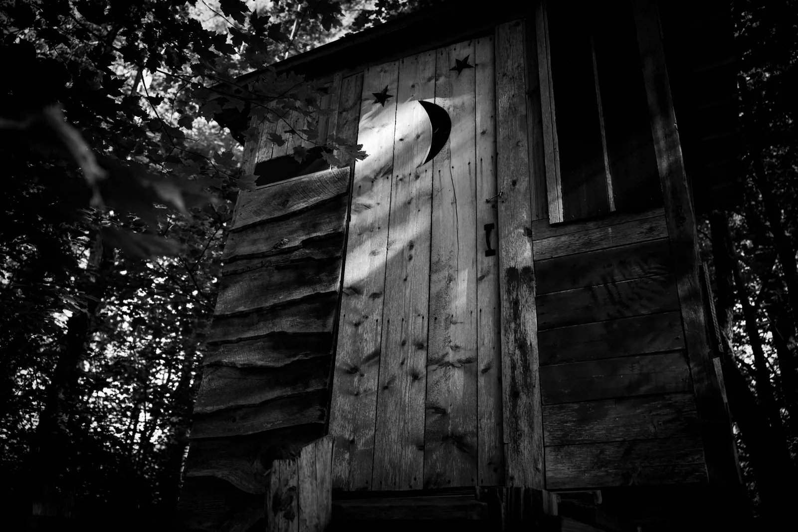 Featured image for: Finding Forgotten Kingdoms: The Abandoned Treehouse