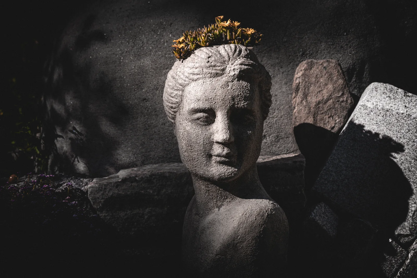 The Drama of Light and Shadow: Making Flowers Cinematic