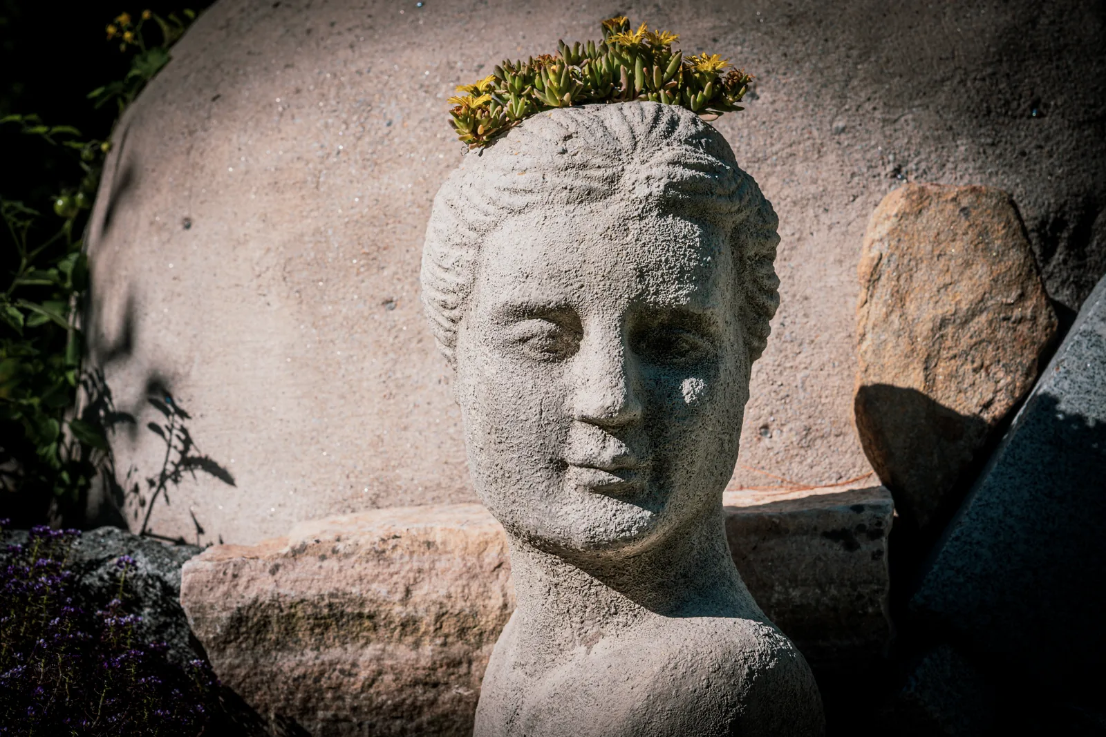 When Nature Becomes Architecture: The Flower That Built Itself