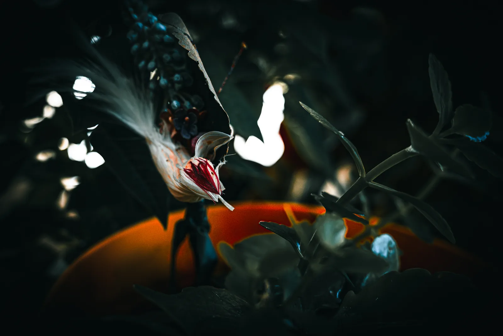 Featured image for: The Story Behind 'The Unreal Bird': When Reality Feels Like Fantasy